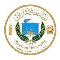جامعة تشرين