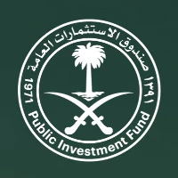 شركات صندوق الاستثمارات العامة السعودي